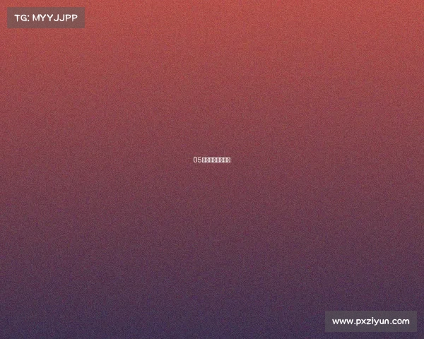 05年詹姆斯赛事战绩