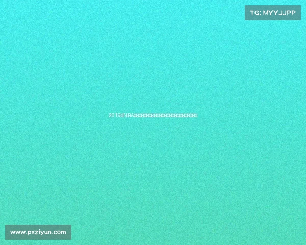 2019年NBA篮球年度精华赛事全纪录重温经典瞬间巨星高光时刻集锦