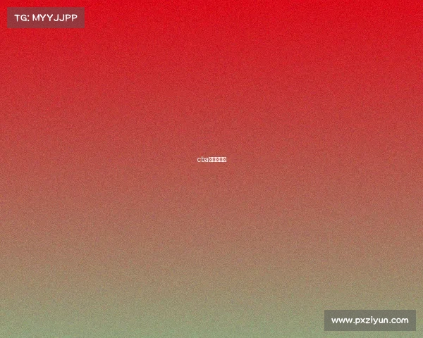 cba季前赛百科 cba季前赛百科