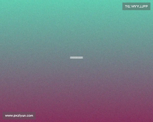 乒乓球国内赛事有哪些