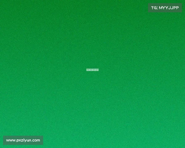 今天的赛程是什么