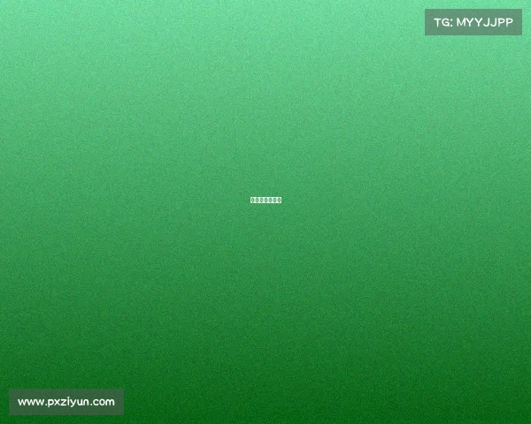 公路赛比赛视频