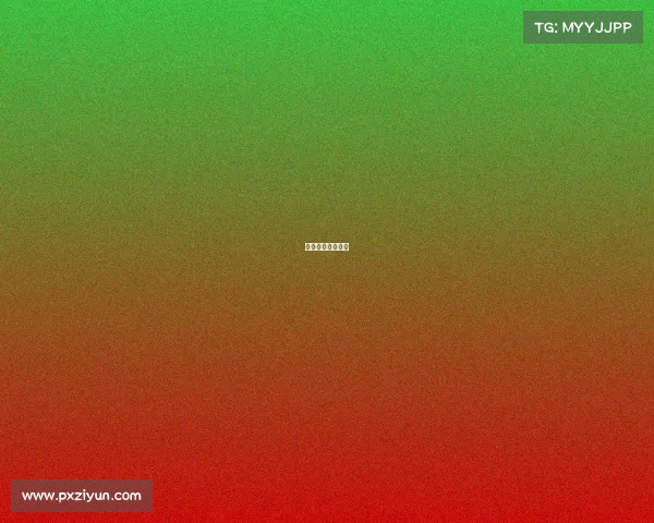 周琦比赛视频集锦